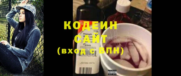 индика Лабытнанги