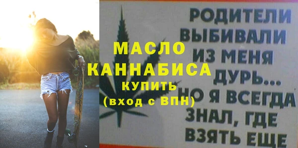индика Лабытнанги