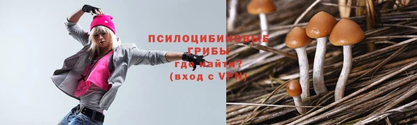 индика Лабытнанги