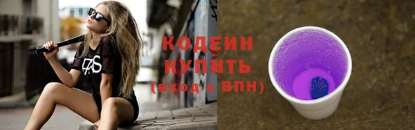 индика Лабытнанги