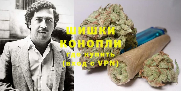 индика Чита