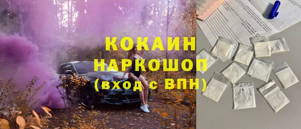 индика Лабытнанги